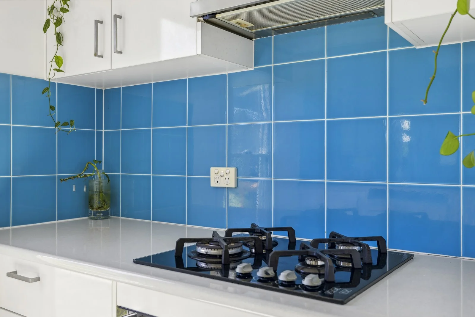 Additional image 8 of 20 Sandpiper Drive, Scotts Head NSW 2447