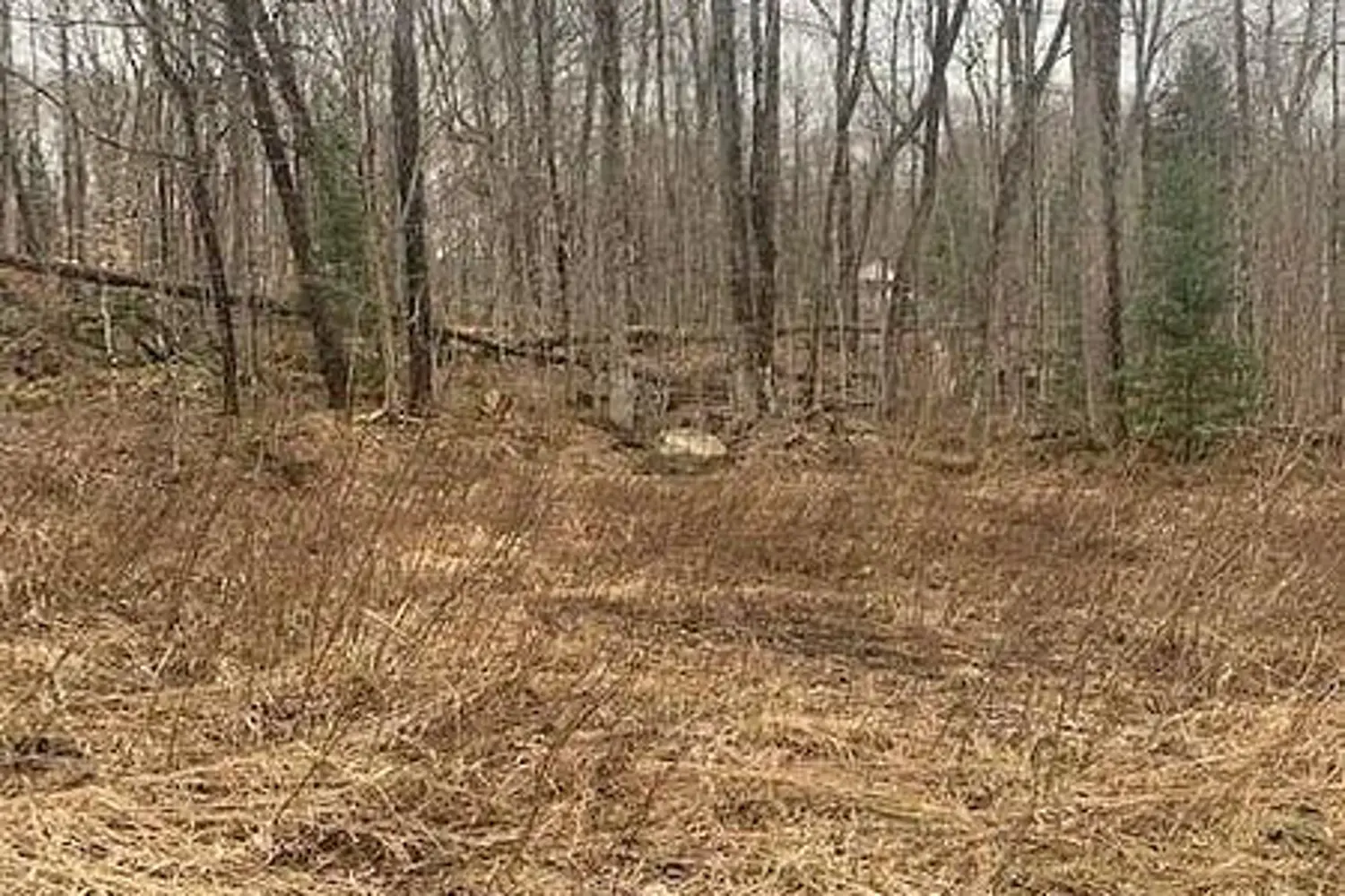 Additional image 8 of 1154 Delia Road