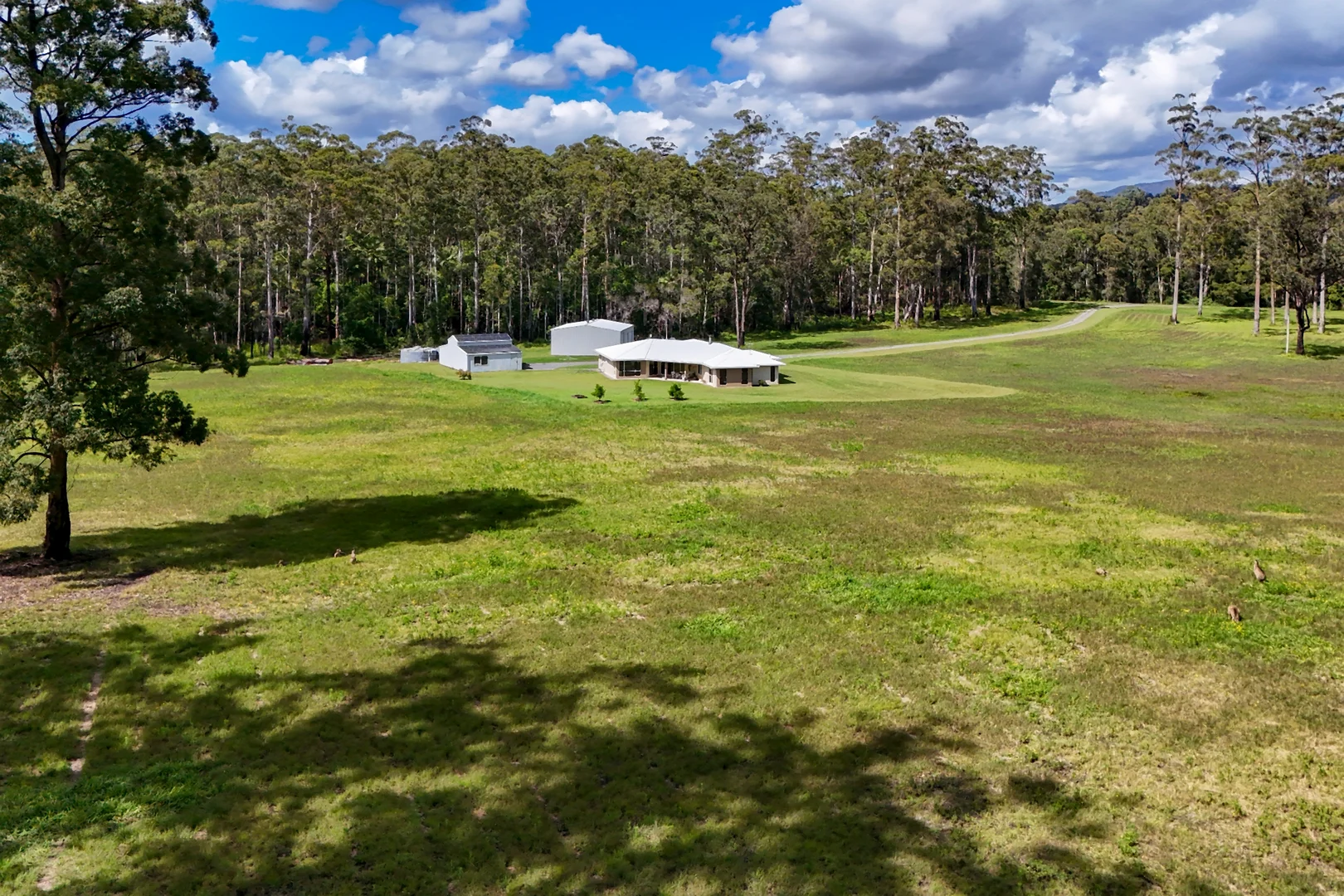 Additional image 21 of 175 Ivers Road, Kew NSW 2439