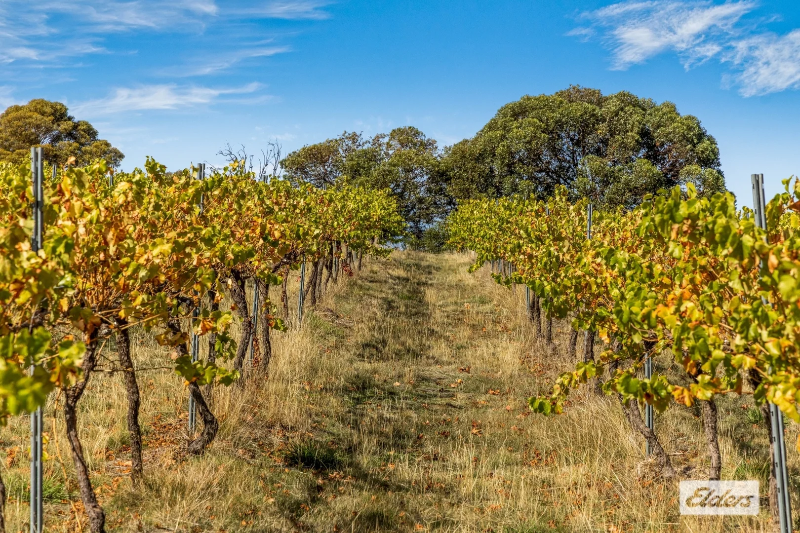 Additional image 38 of 114 Degraves Road, Crowlands VIC 3377