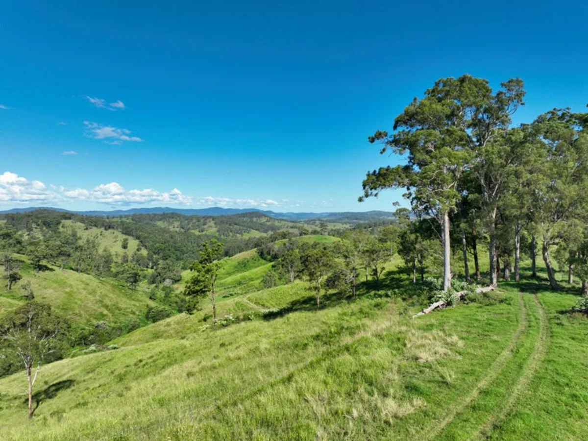 Additional image 3 of 59 Wyndham Road, Wyneden NSW 2474