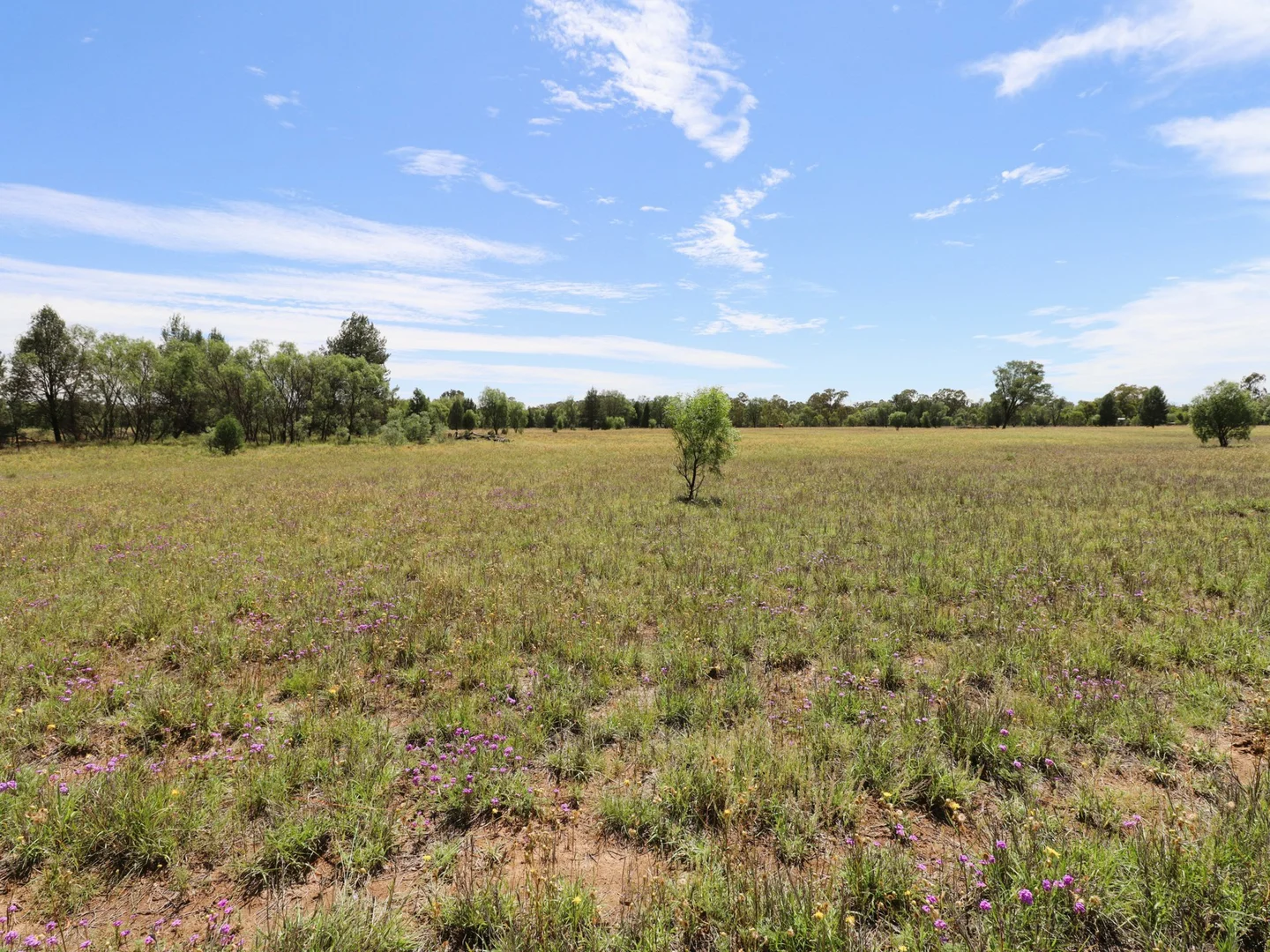 Additional image 4 of 30 Bristol Street, Mitchell QLD 4465
