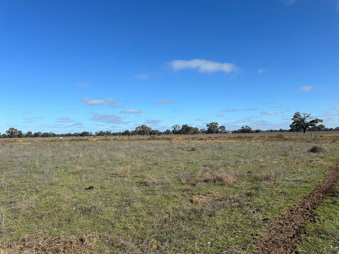 Additional image 4 of 00 Corner Nelsons & Koondrook Road, Cohuna VIC 3568