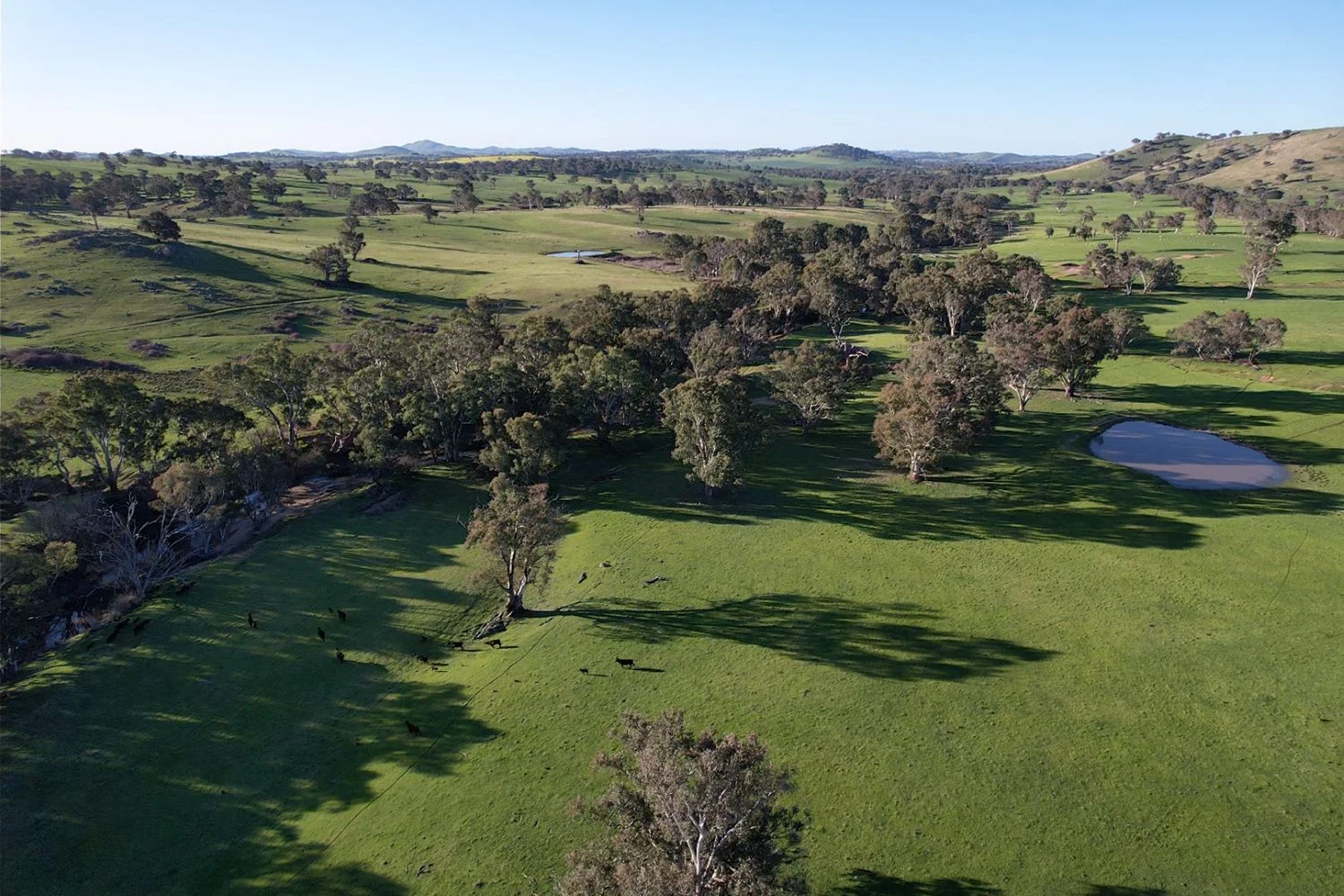 Additional image 14 of 0 Illalong Road, Bookham NSW 2582