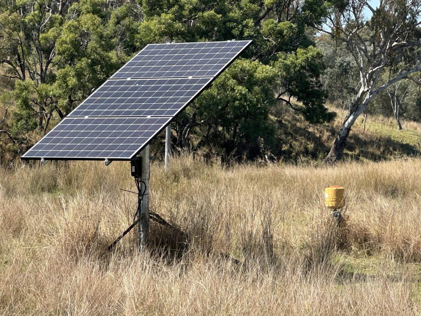 Additional image 22 of "Coolendoon" 810 The Pocket Road, Bukkulla NSW 2360