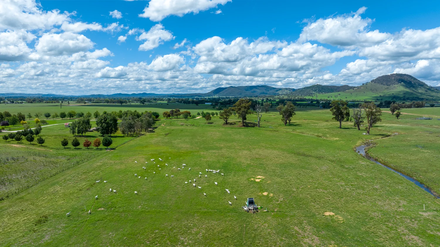 Additional image 7 of Lot 1, 312 Castlereagh Highway, Mudgee NSW 2850