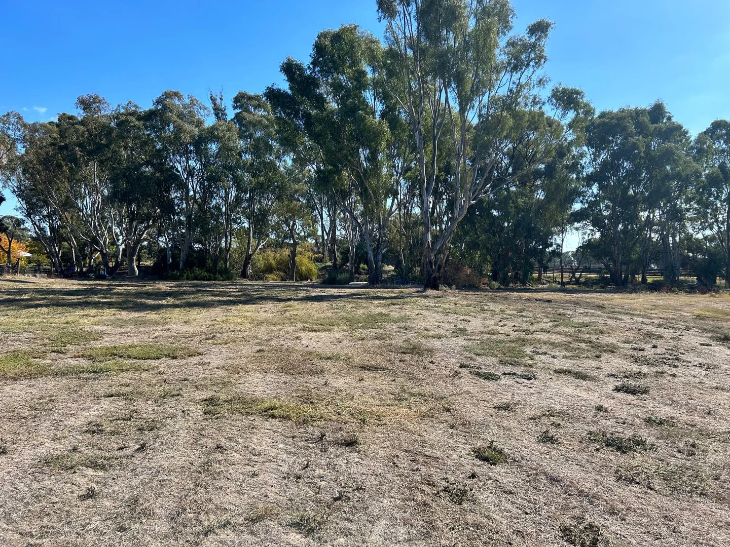 Additional image 6 of 39 Vinecombe Lane, Barham NSW 2732