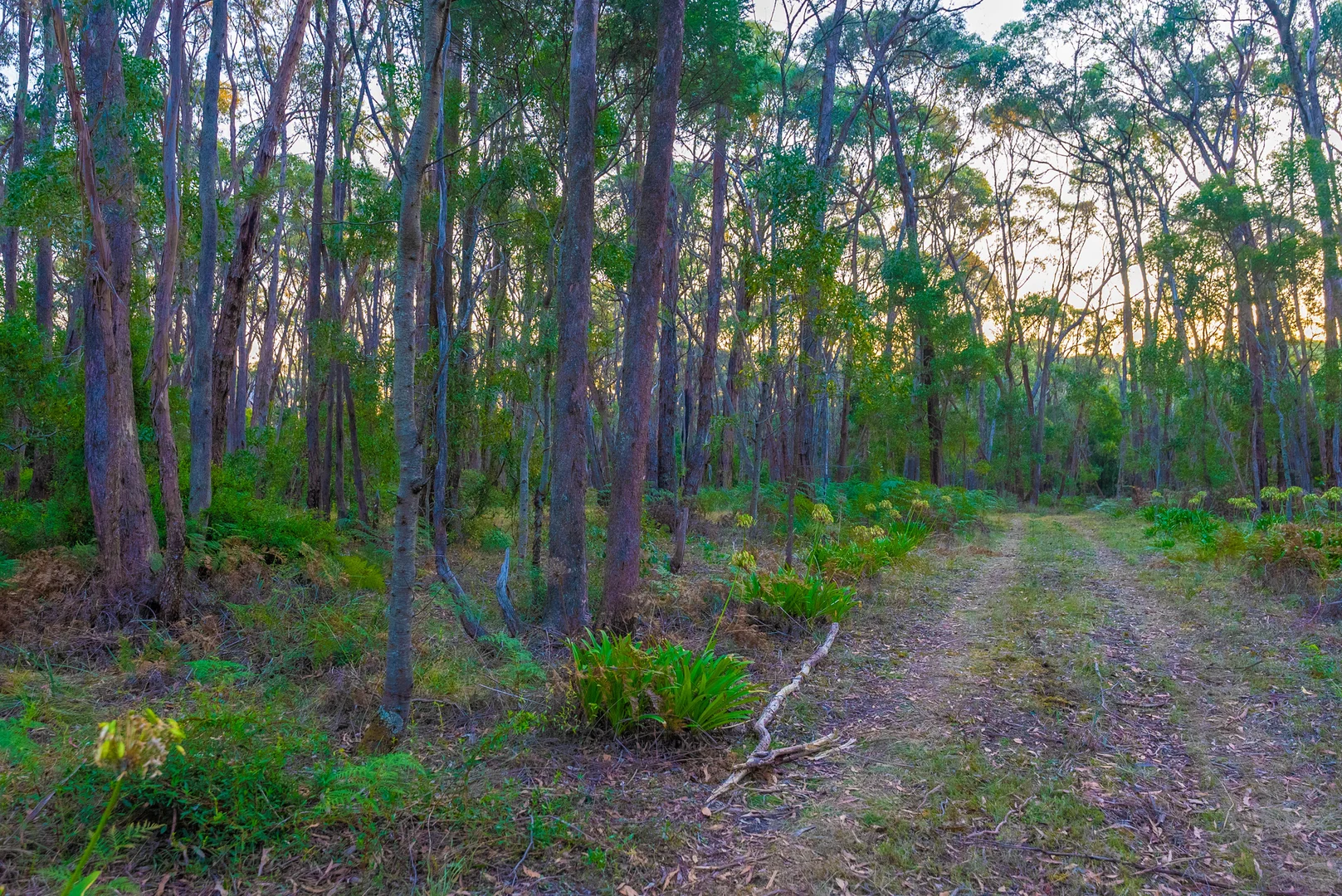 Additional image 14 of Lot 5 Howlett Road, Ross Creek VIC 3351