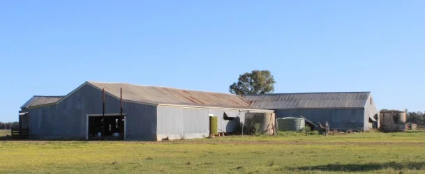 Additional image 30 of 362 Morangarell Road, West Wyalong NSW 2671