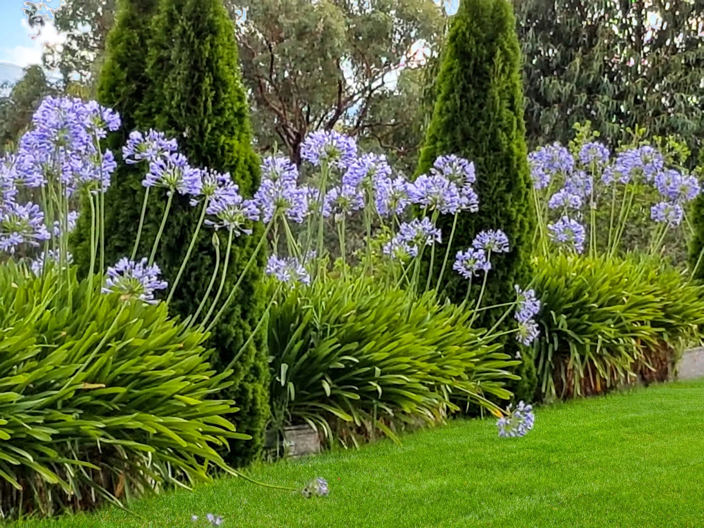 Additional image 7 of 4/54 Cloverdale Road, Tumut NSW 2720