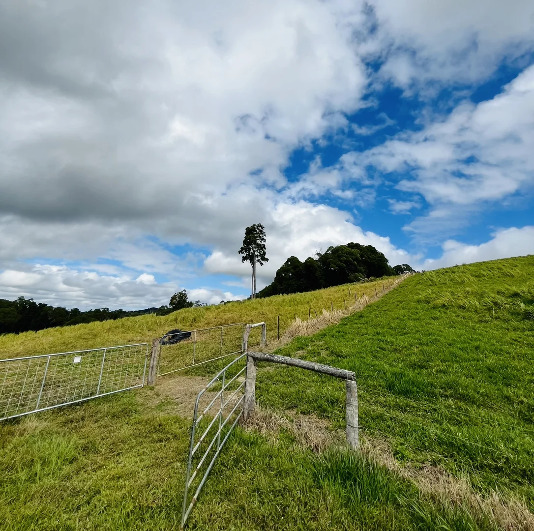 Additional image 44 of 1297 Mossman - Mt Molloy Rd, Julatten QLD 4871