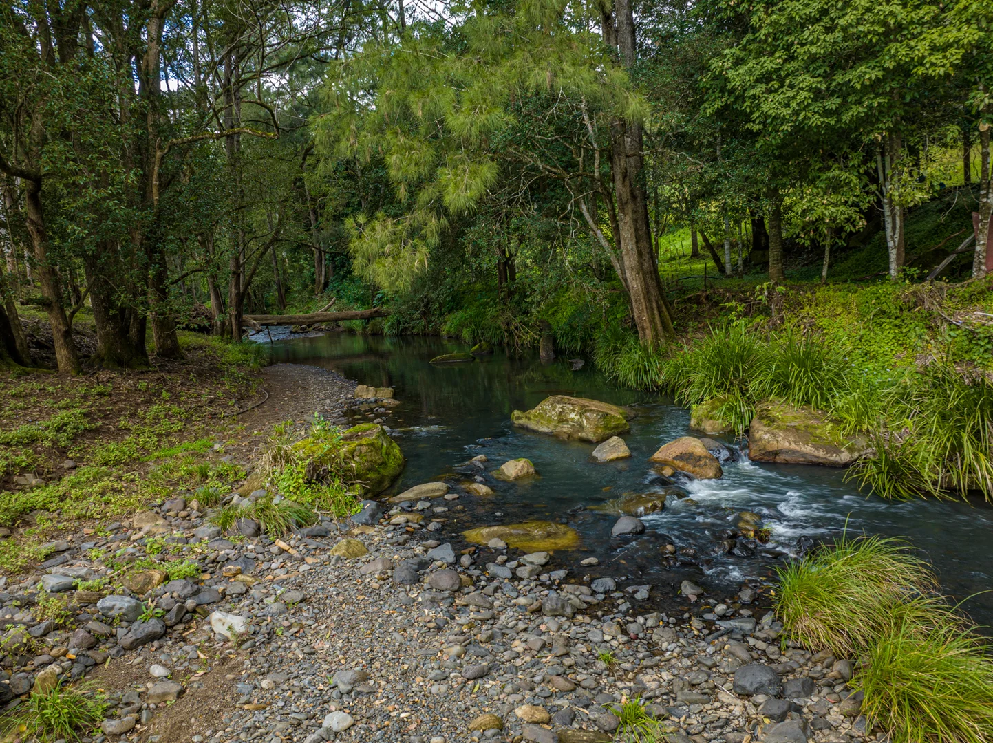 Additional image 35 of 574 Horseshoe Creek Road, Upper Horseshoe Creek NSW 2474