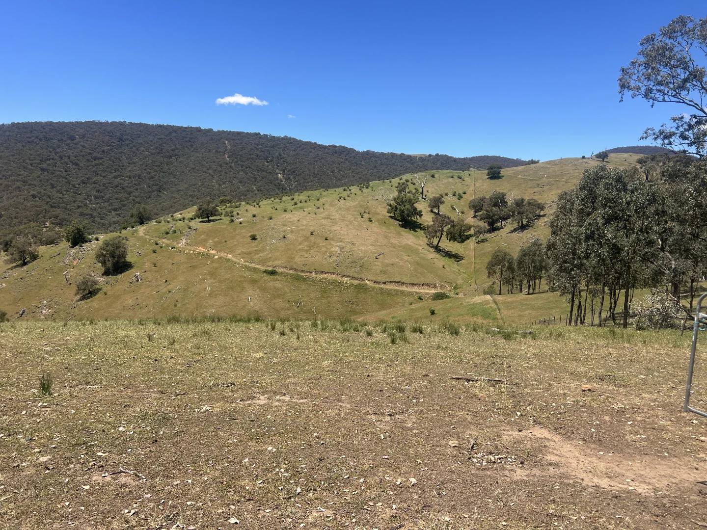 Additional image 14 of Lot 31 Lehmans Road, Talgarno VIC 3691