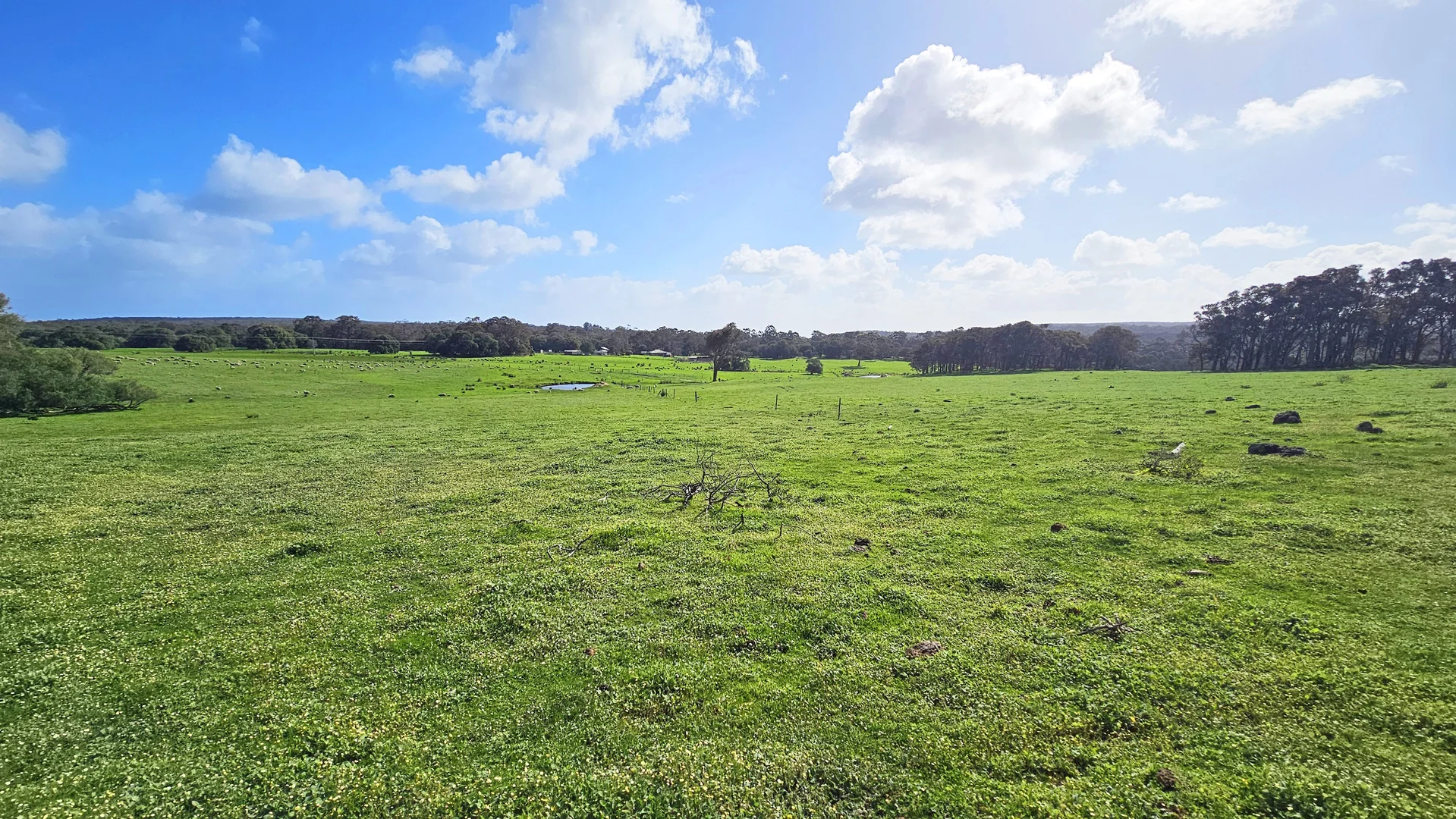 Additional image 8 of Lot 61 Caves Road, Burnside WA 6285