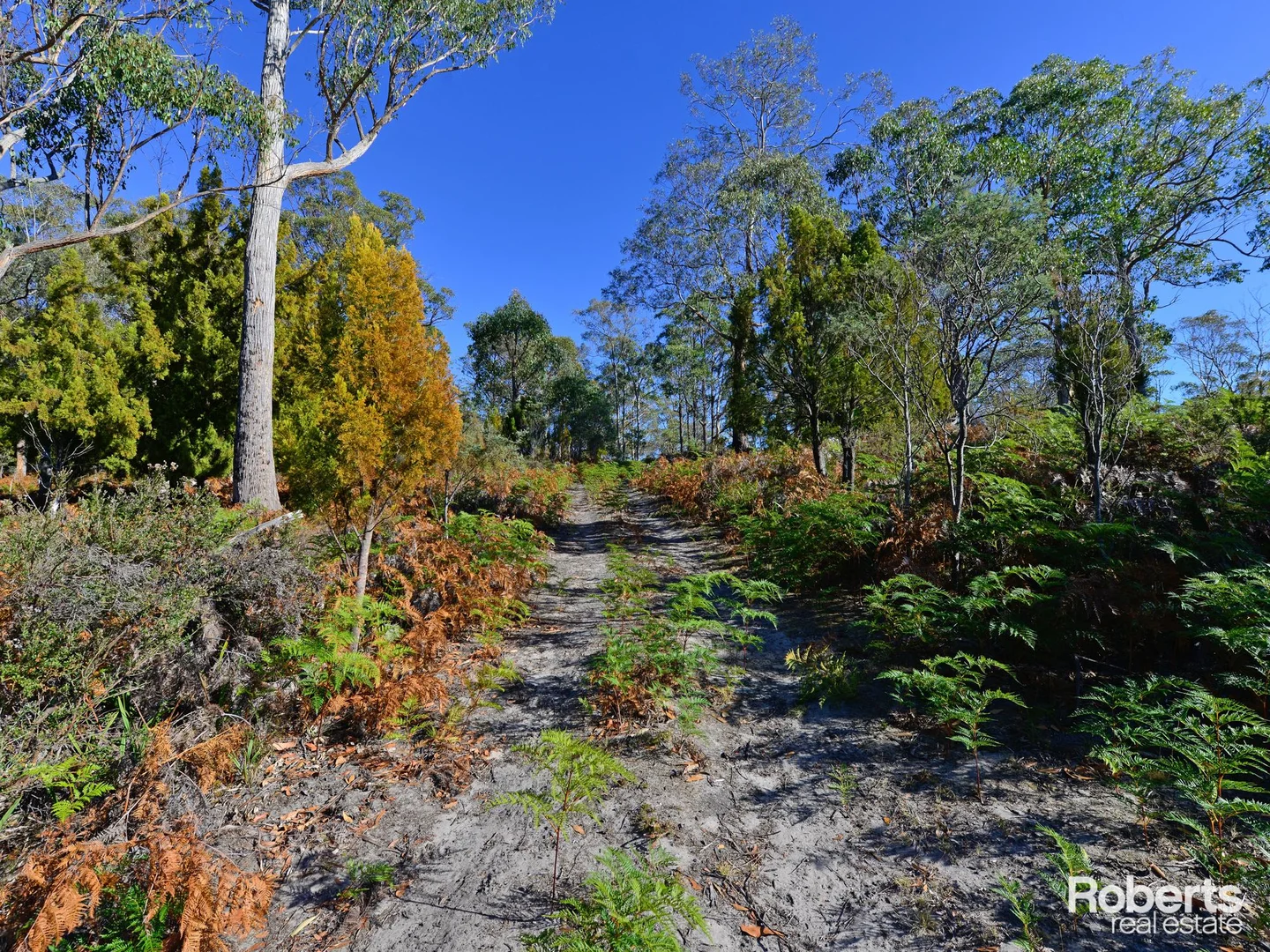 Additional image 4 of Fentonbury TAS 7140