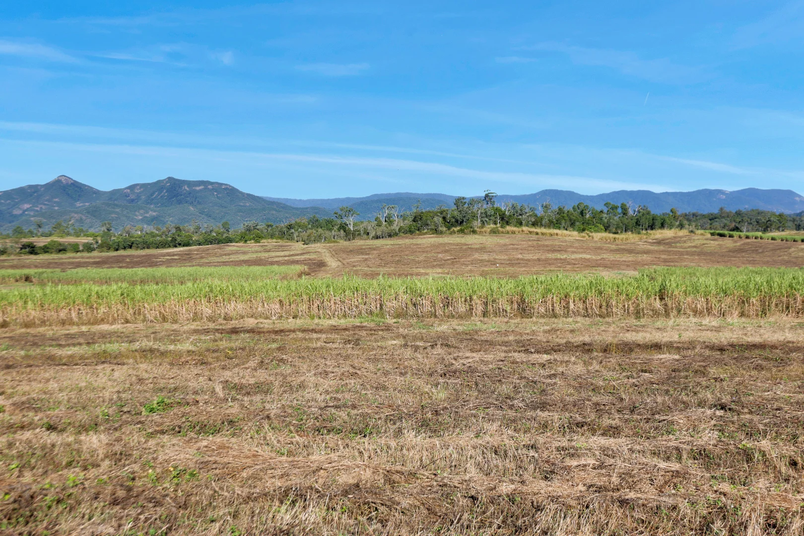 Additional image 4 of Lot 21 241 Wintons Road, Yalboroo QLD 4741