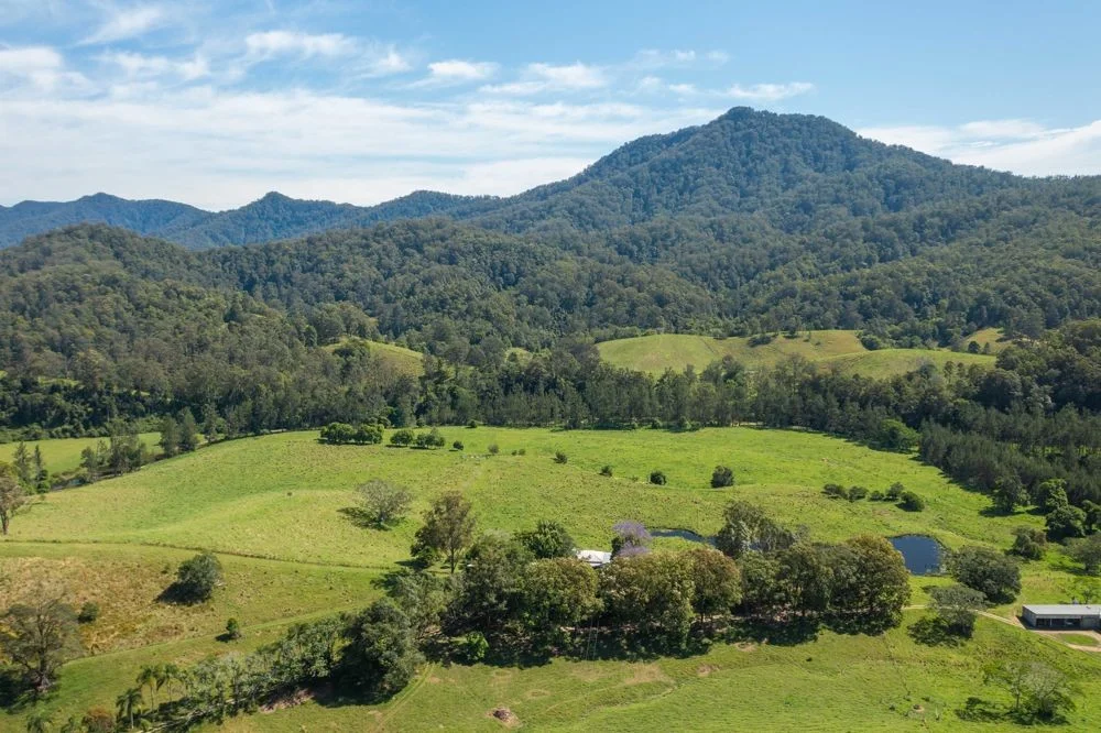 Additional image 8 of 1562-1620 NORTH ARM ROAD, Argents Hill NSW 2449