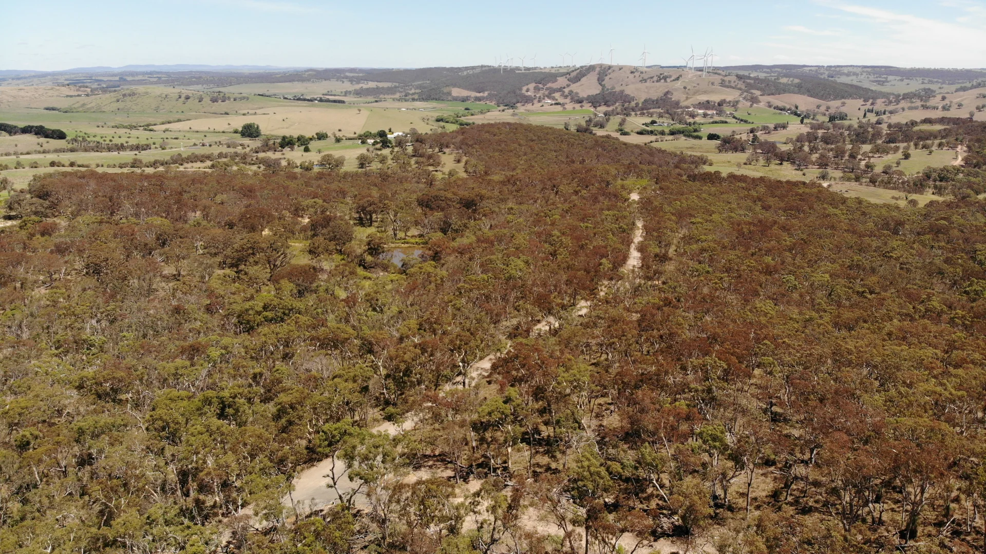 Additional image 7 of 1950 Pomeroy Road, Bannister NSW 2580