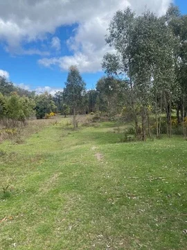 Additional image 3 of 138 Hogans Lane, Musk Vale VIC 3461