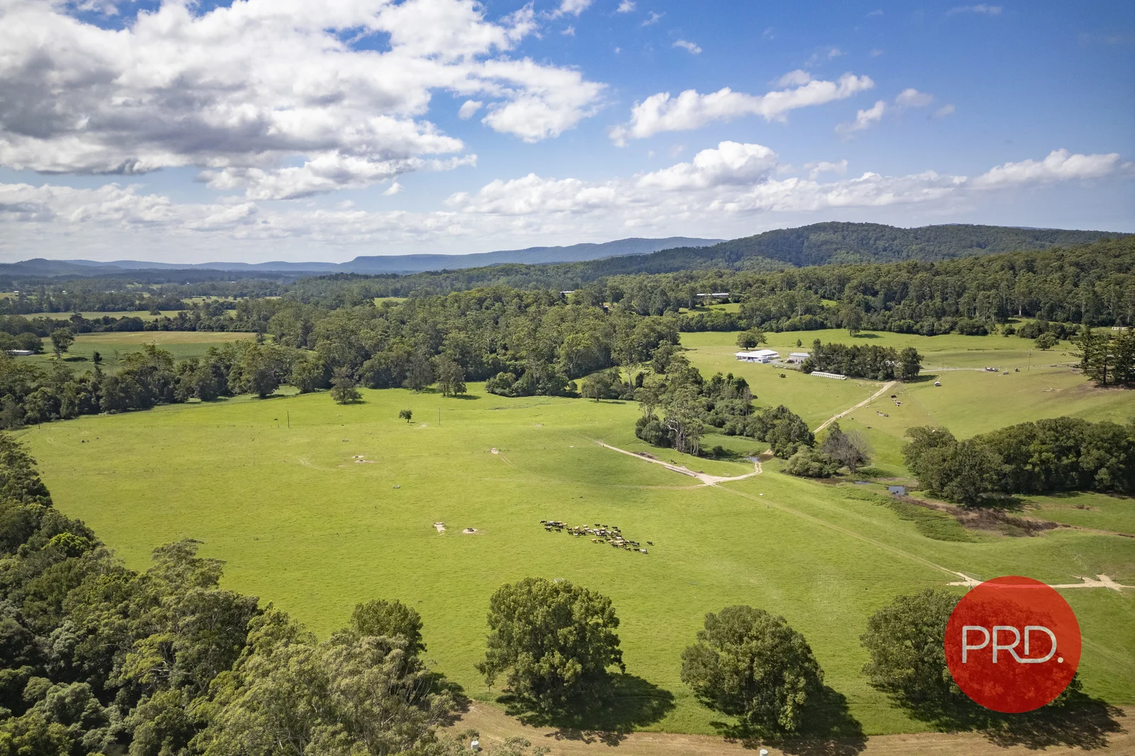 Additional image 20 of 441 Eastbank Road, Coramba NSW 2450