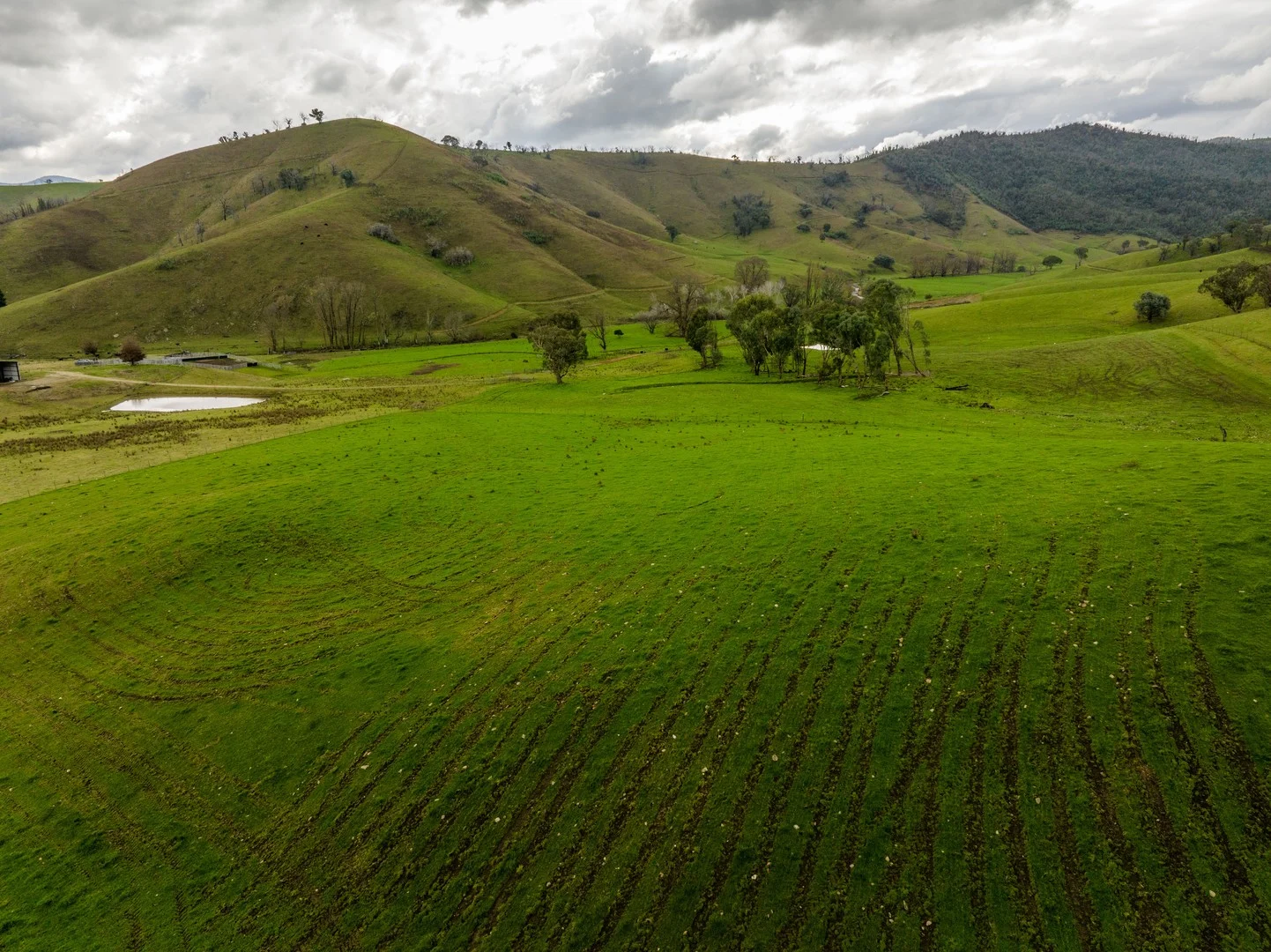 'Rockview' 400 Horse Creek Road, Jingellic NSW 2642