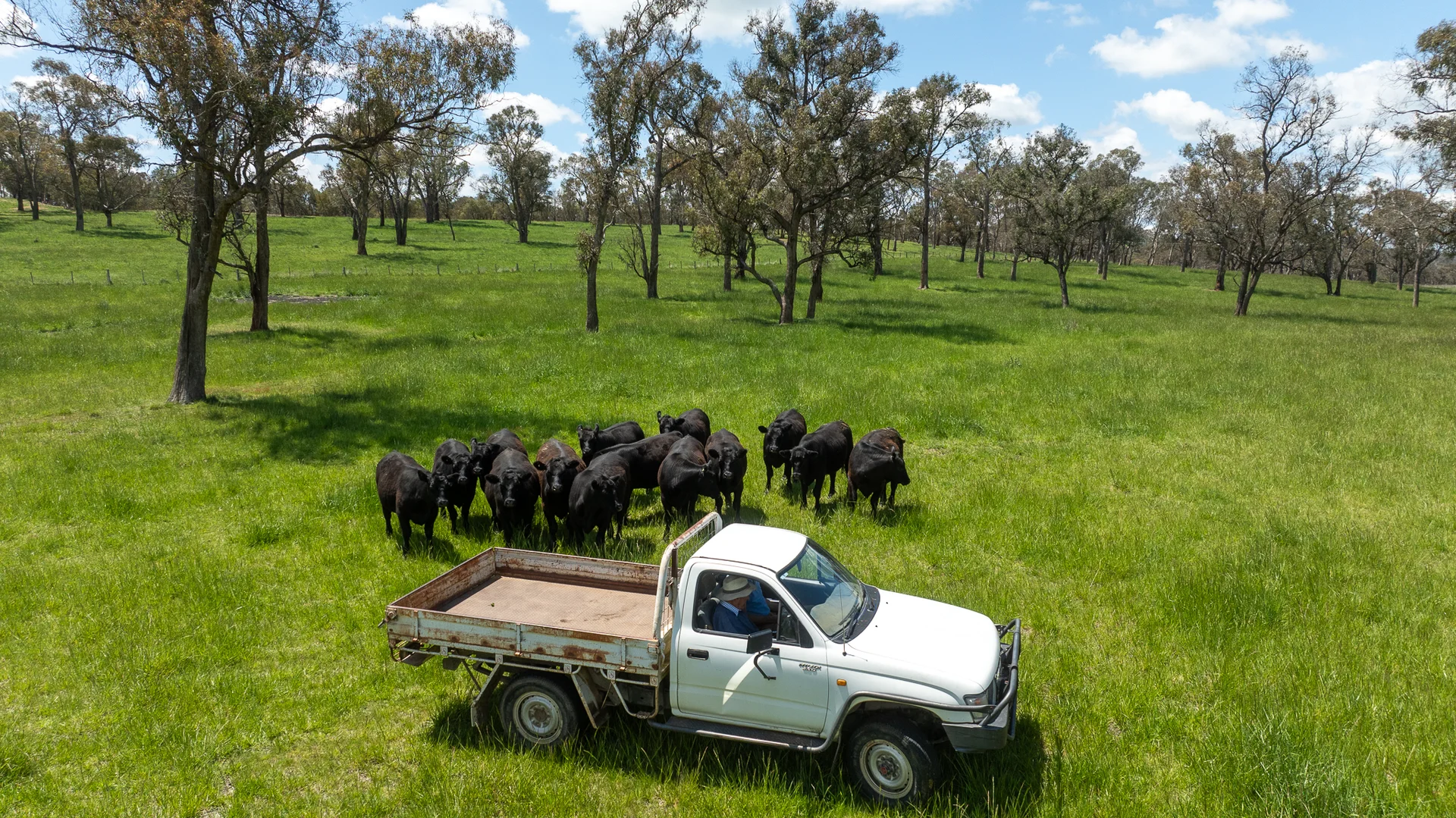 Additional image 11 of 191 Thunderbolts Way, Walcha NSW 2354