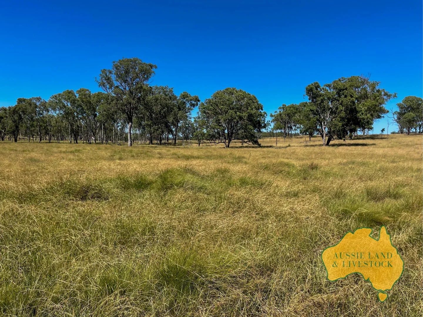 Additional image 60 of 629 Stuart Valley Drive, Haly Creek QLD 4610