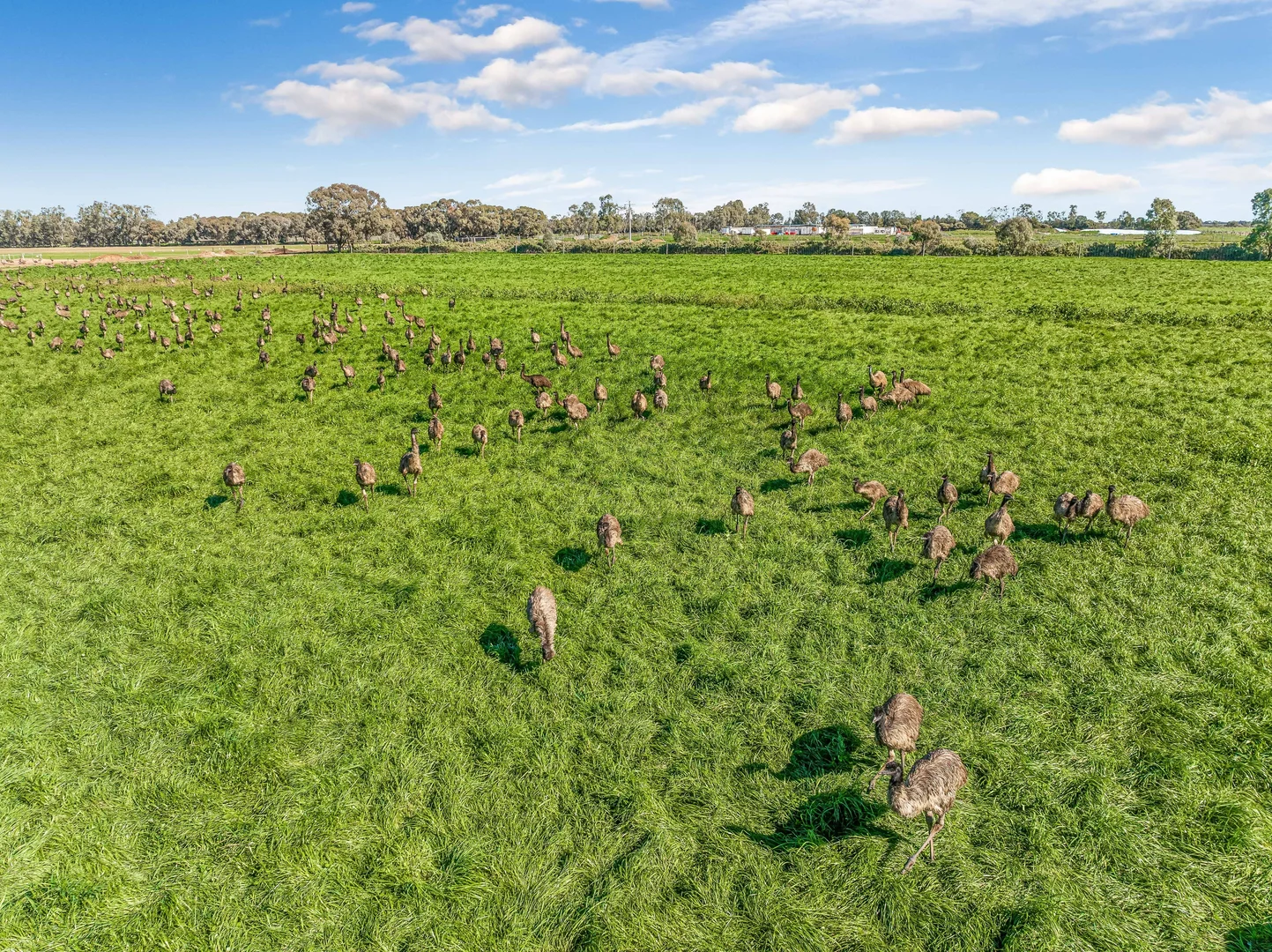 Additional image 4 of 198 Tragowel Road, Tragowel VIC 3579