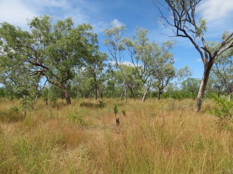 Additional image 30 of Van Lee Station, Mount Surprise QLD 4871