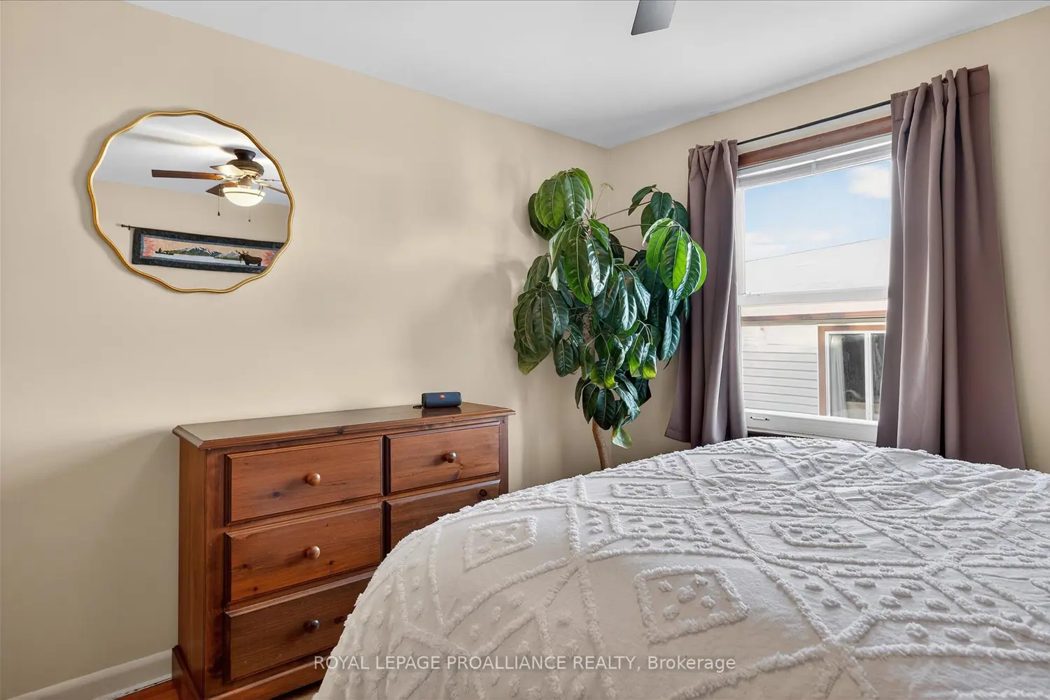 Additional image 11 of 260 Bellevue Street