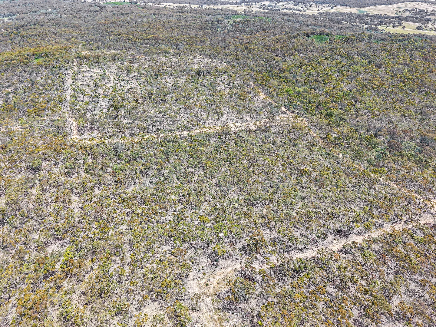 Additional image 8 of 157 Blakney Creek North Road, Bevendale NSW 2581