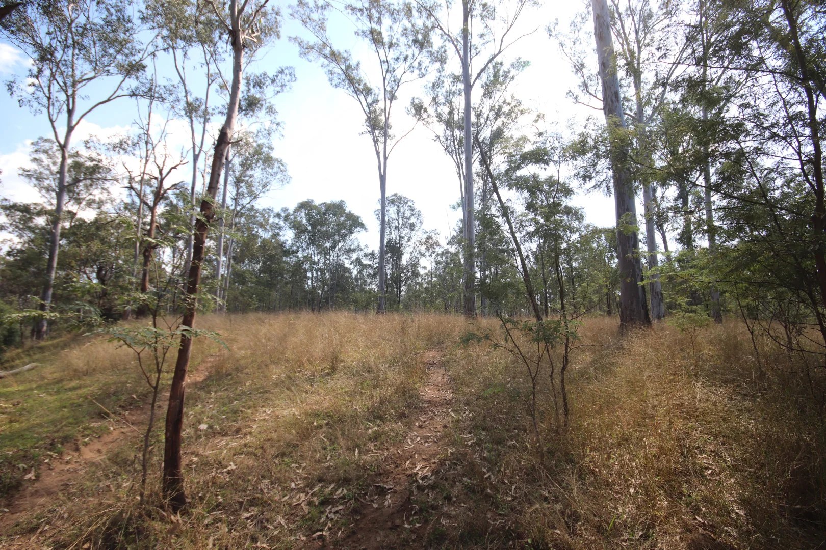 Additional image 6 of Lot D Mundubbera Durong Road, Brovinia QLD 4626