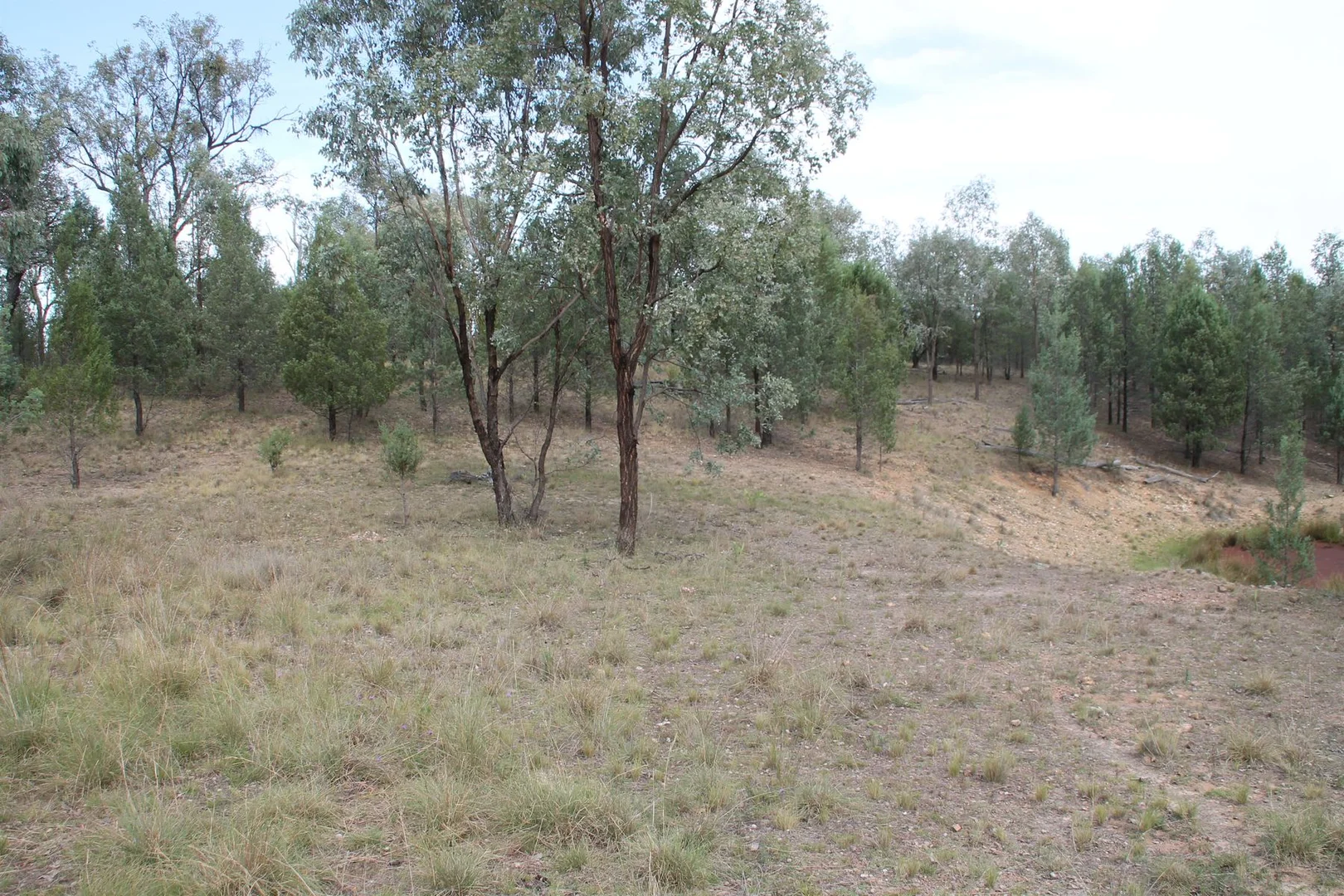 Additional image 7 of Lot 19 Mountain Creek Road, Tenterfield NSW 2372
