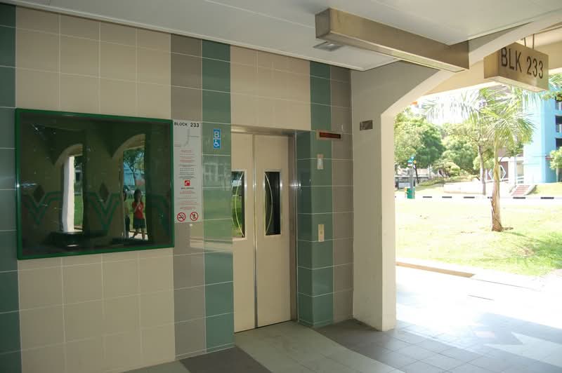 Additional image 10 of 233 Simei Street 4