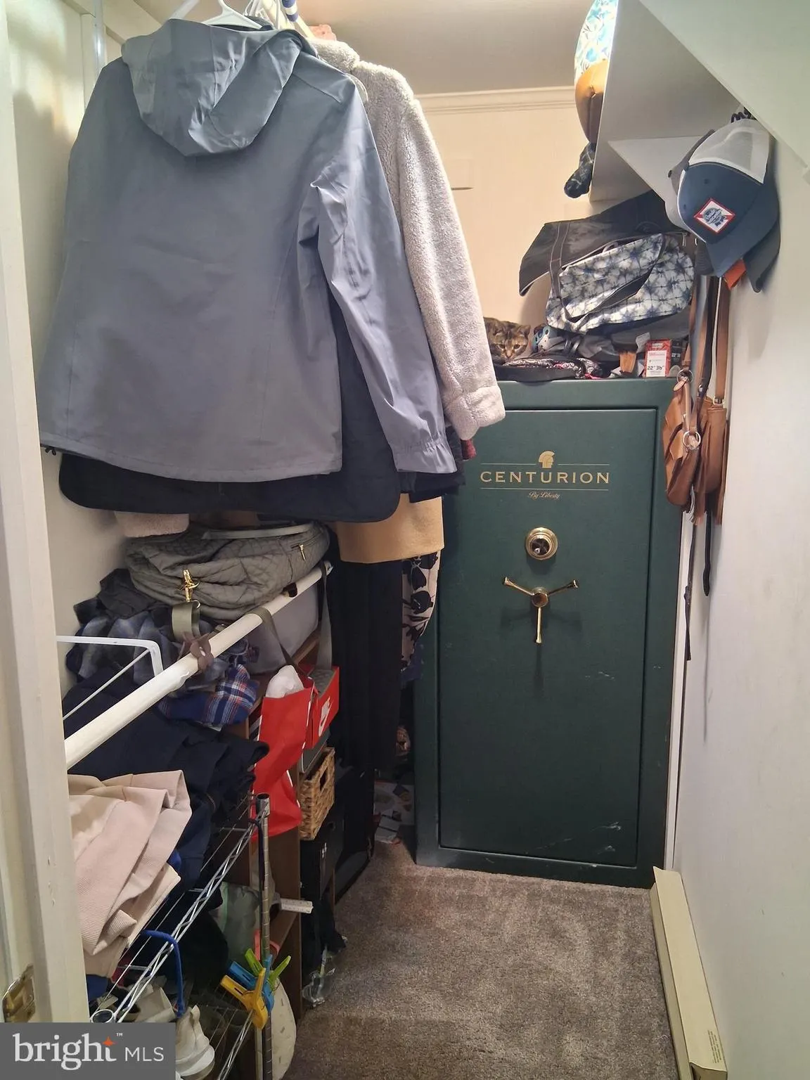 Additional image 52 of 10691 Rifle Range Road, Bridgeville, DE 19933