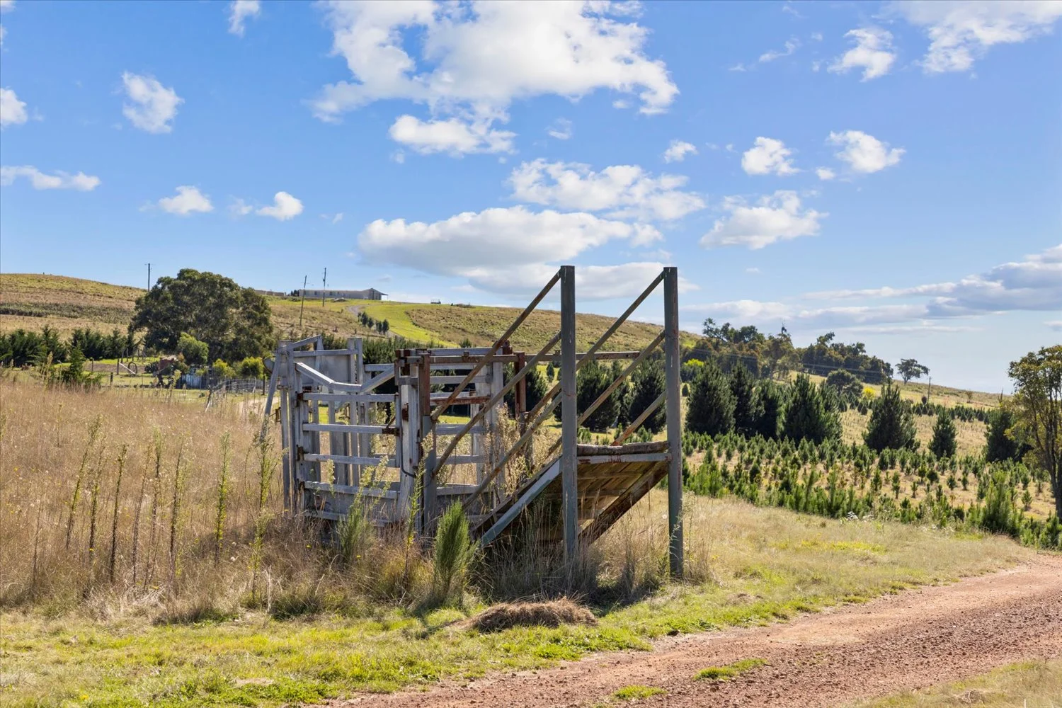 Additional image 37 of 134 Lakeview Road, Tarago NSW 2580