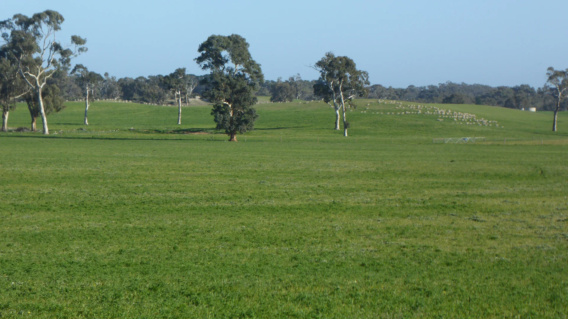 Additional image 17 of "Wyruna" 2989 Naracoorte Road, Western Flat SA 5268