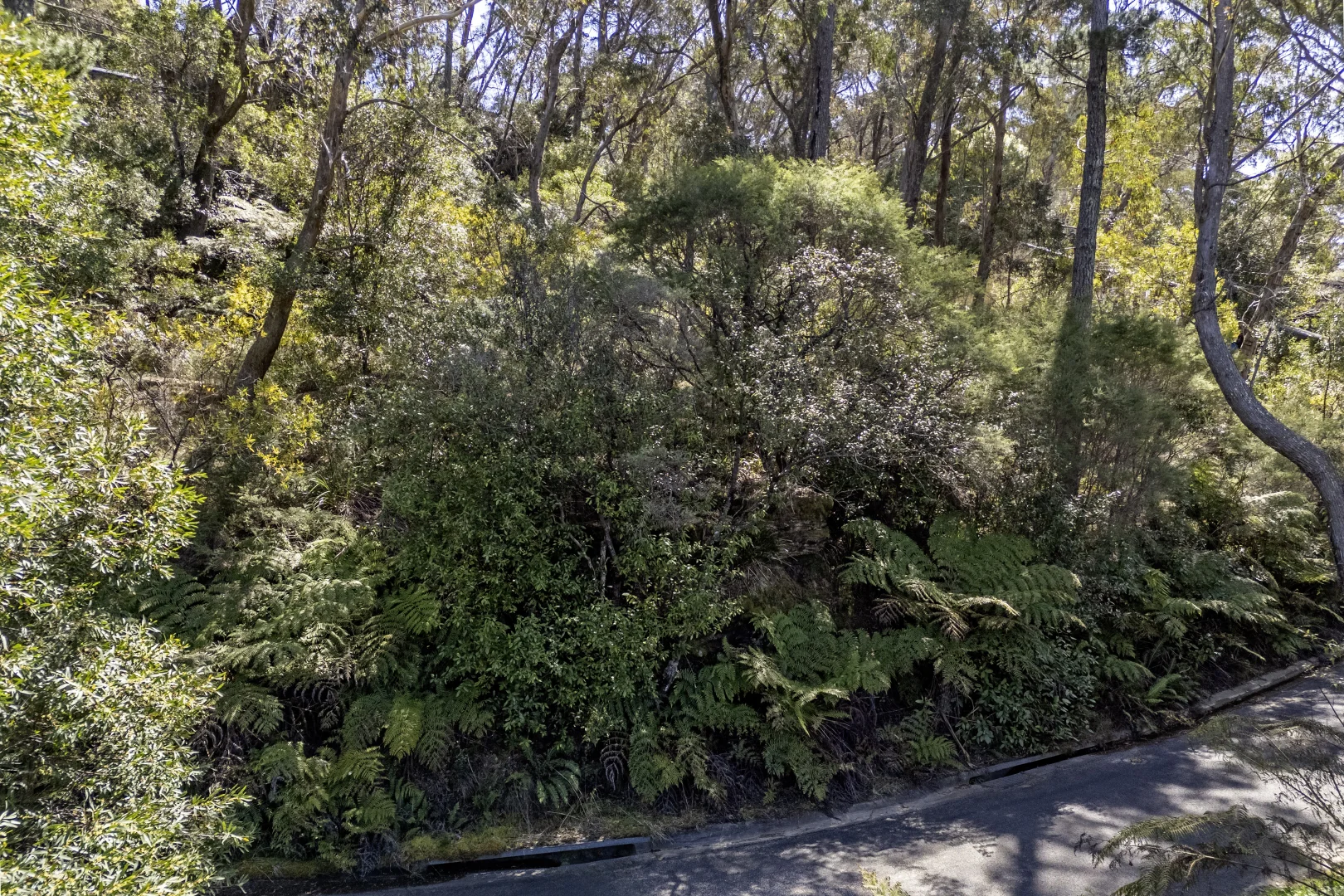 Additional image 3 of 53-55 Dell Street, Blackheath NSW 2785