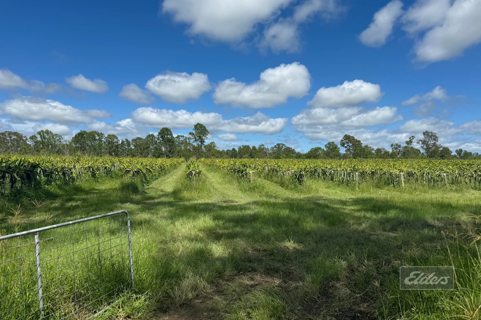 Additional image 12 of 288 Blowers Road, Munna Creek QLD 4570