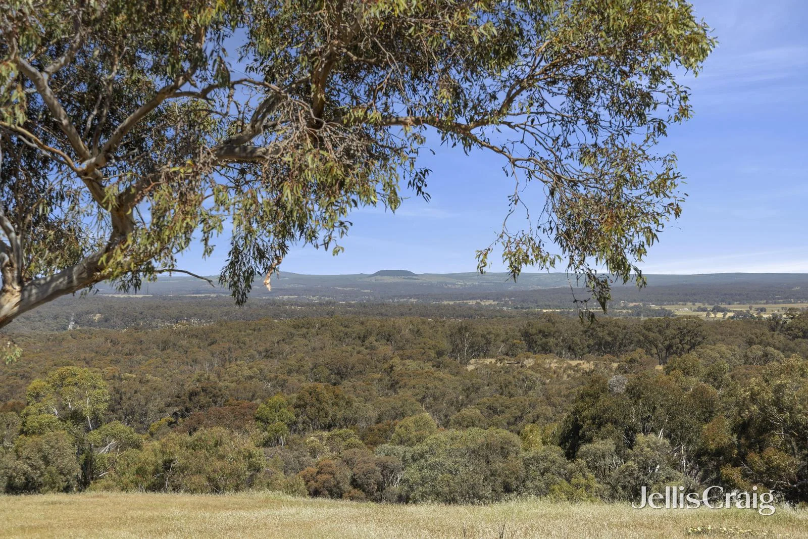 Additional image 18 of 252 Seers Road, Welshmans Reef VIC 3462