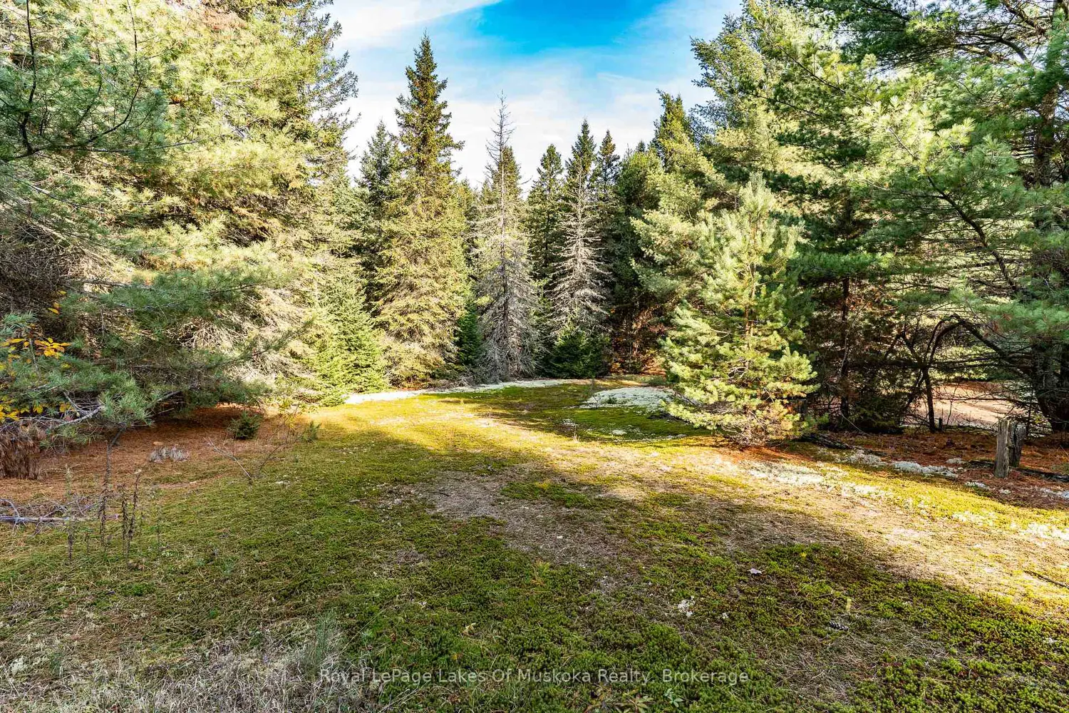 Additional image 15 of 267 & 321 Cardwell Lake Road