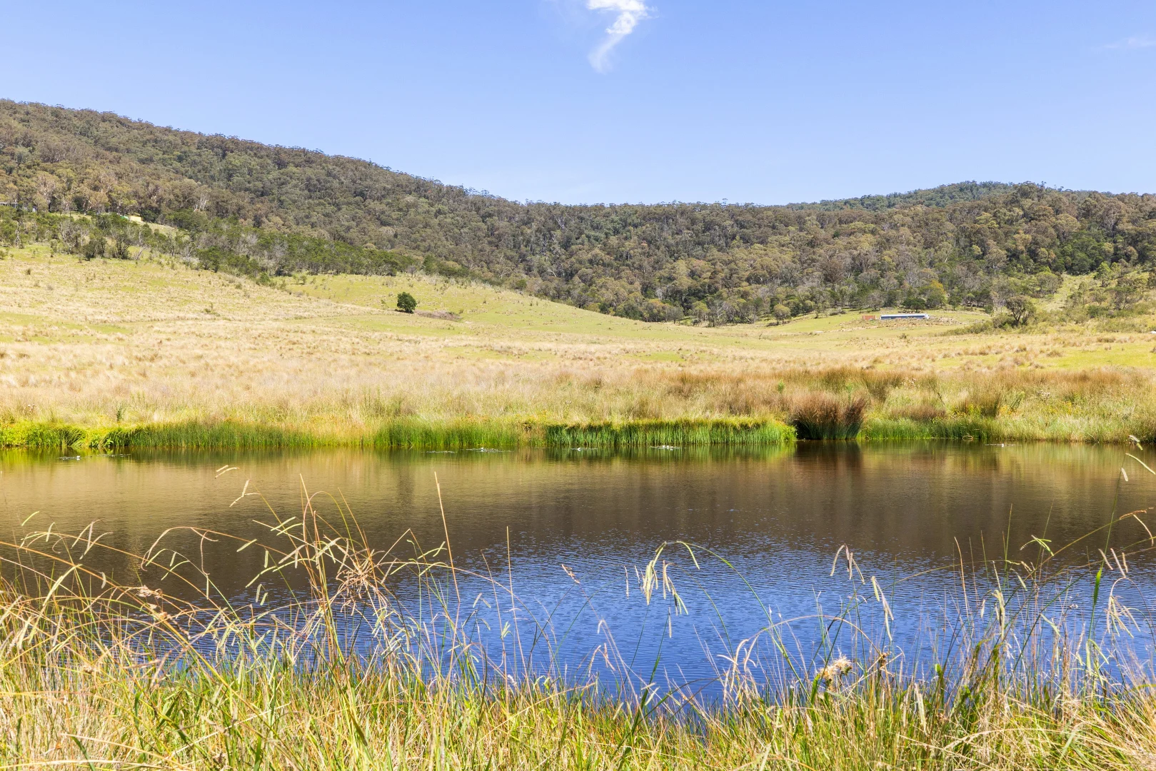 Additional image 5 of 6 Silvertop Lane, Krawarree NSW 2622