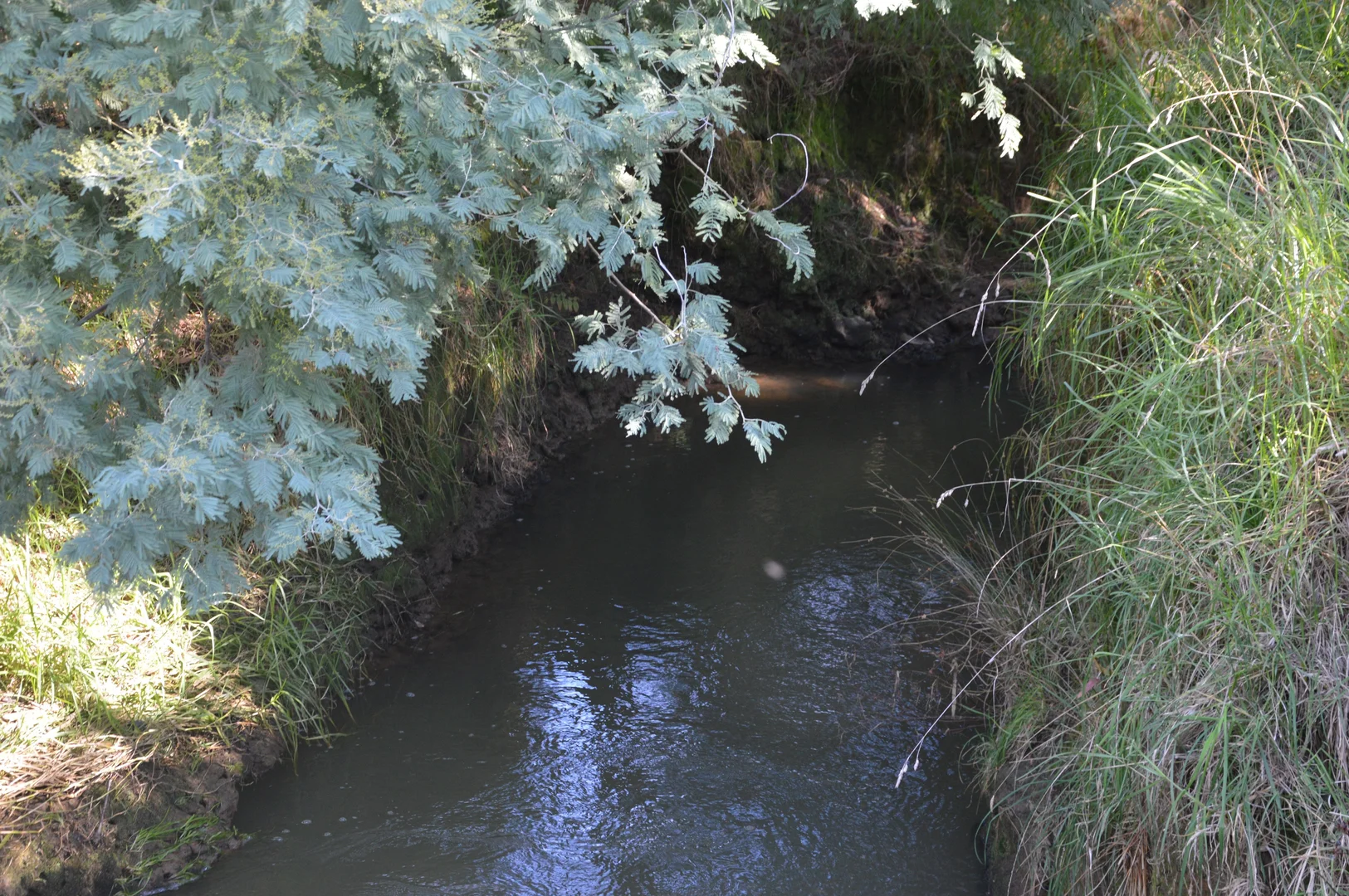 Additional image 23 of 55 Michie Road, Krowera VIC 3945