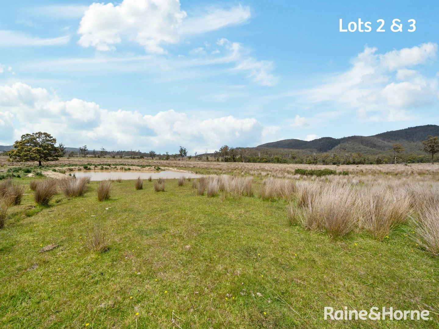 Additional image 15 of Lots 2 & 3 Rosedale Road, Bicheno TAS 7215