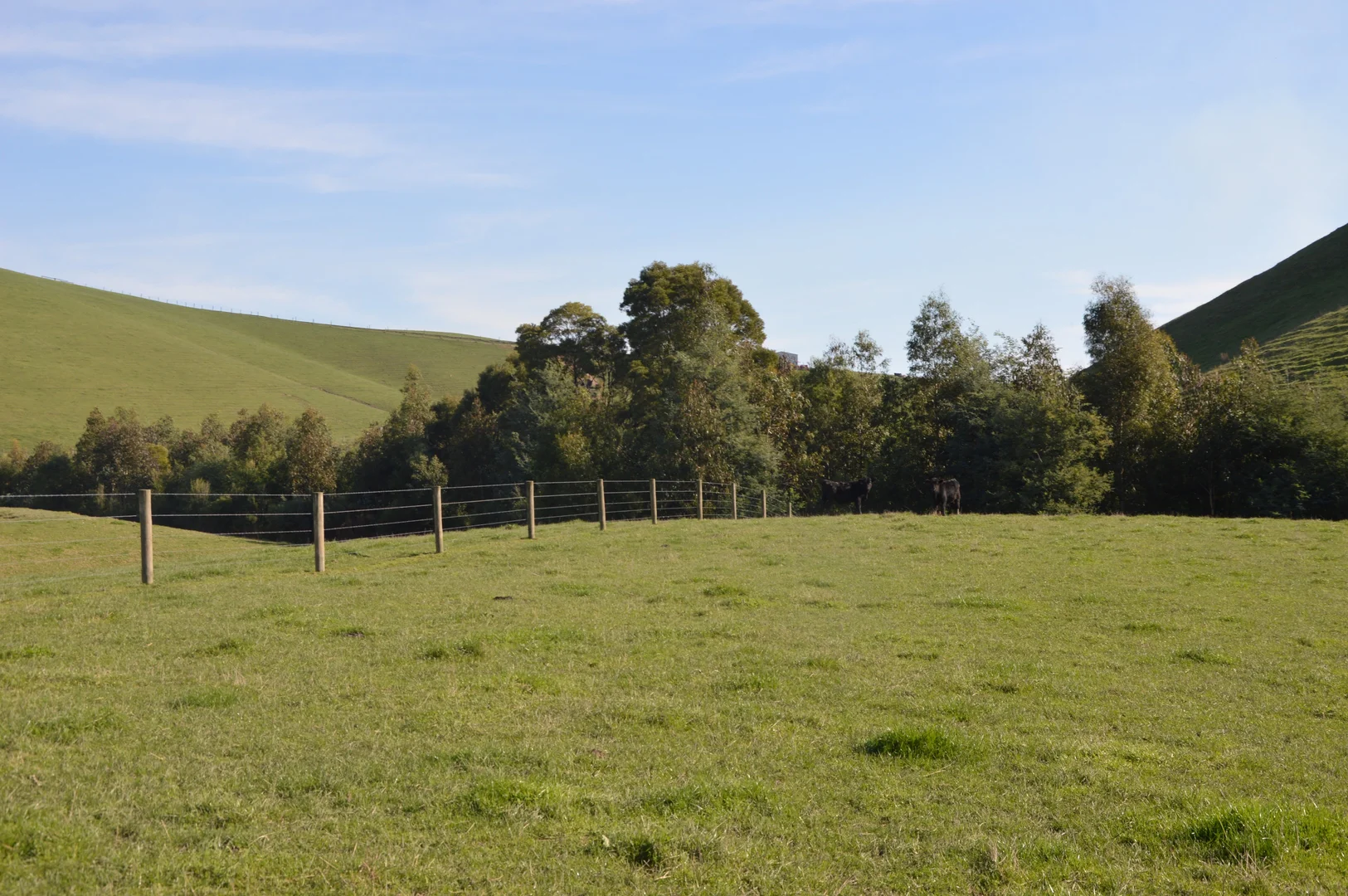 Additional image 27 of 55 Michie Road, Krowera VIC 3945