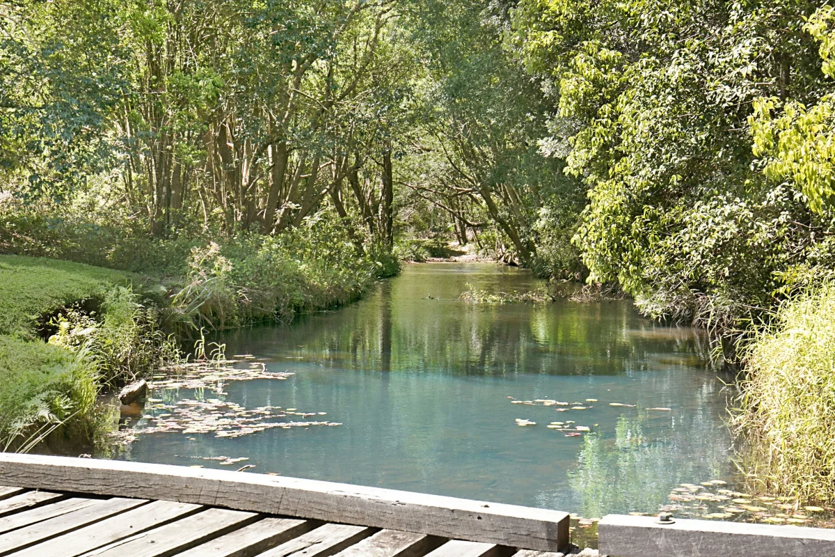 Additional image 5 of 89 Chowan Creek Road, Chowan Creek NSW 2484