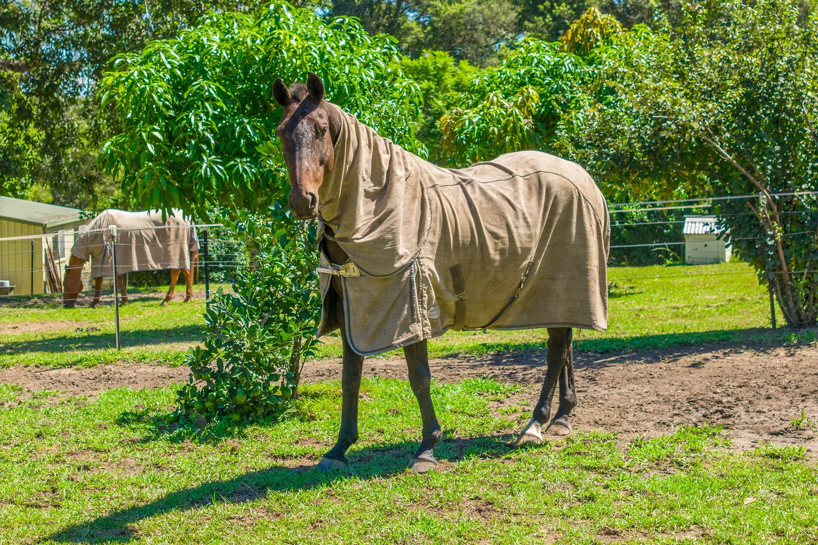Additional image 27 of 95 Browns Crossing Road, Eungai Creek NSW 2441