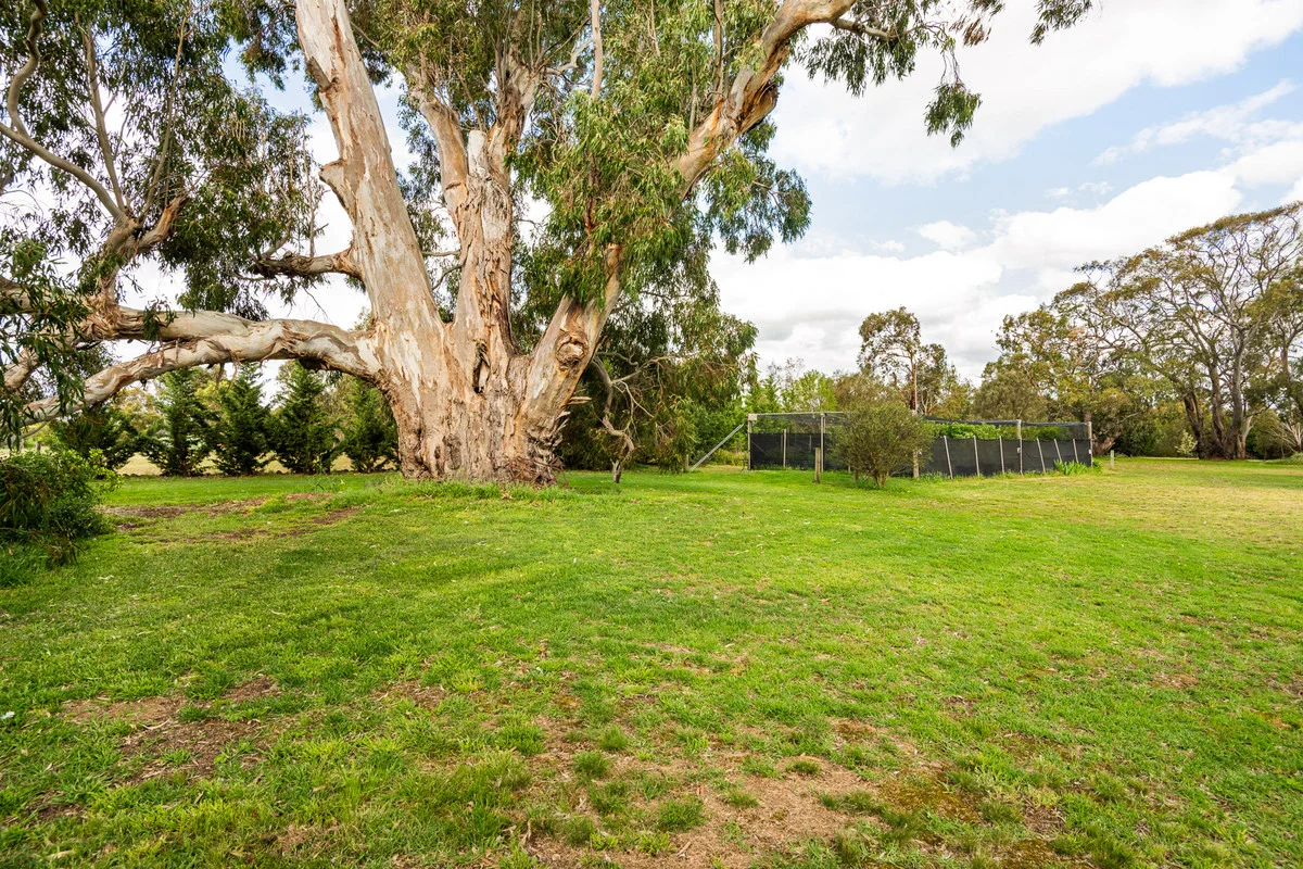 Additional image 24 of 26 Argyle Park Court, Inverleigh VIC 3321