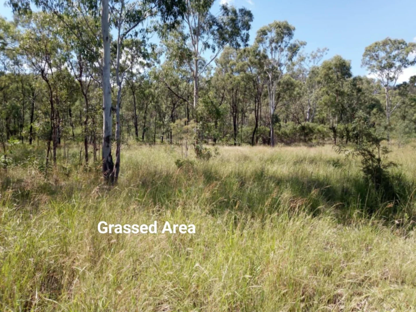 Additional image 33 of Mount Larcom QLD 4695