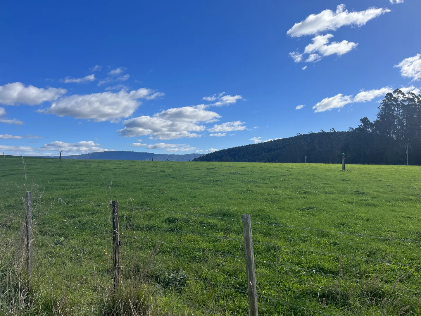 Additional image 13 of 630 Ten Mile Track, Springfield TAS 7260